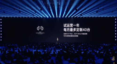 小米汽车定制服务超10万选配，雷军跨界广告引爆行业话题